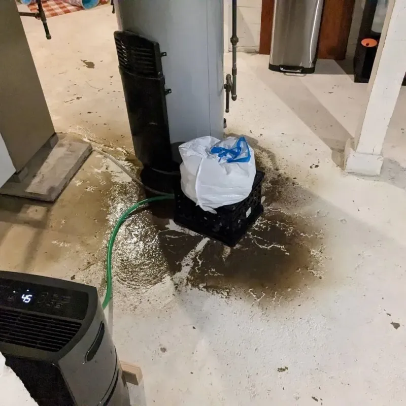 Sewage Backup Cleanup Service in Dresher, PA
